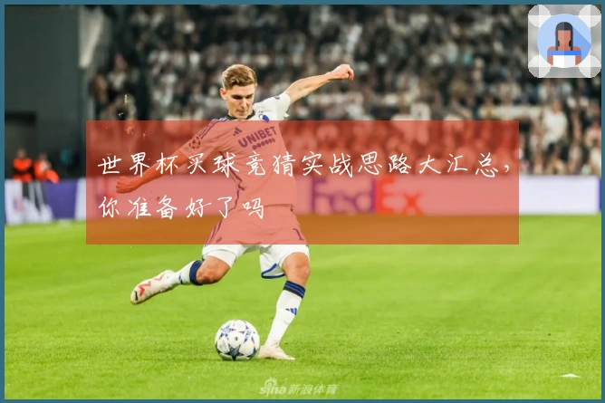 世界杯买球竞猜实战思路大汇总，你准备好了吗