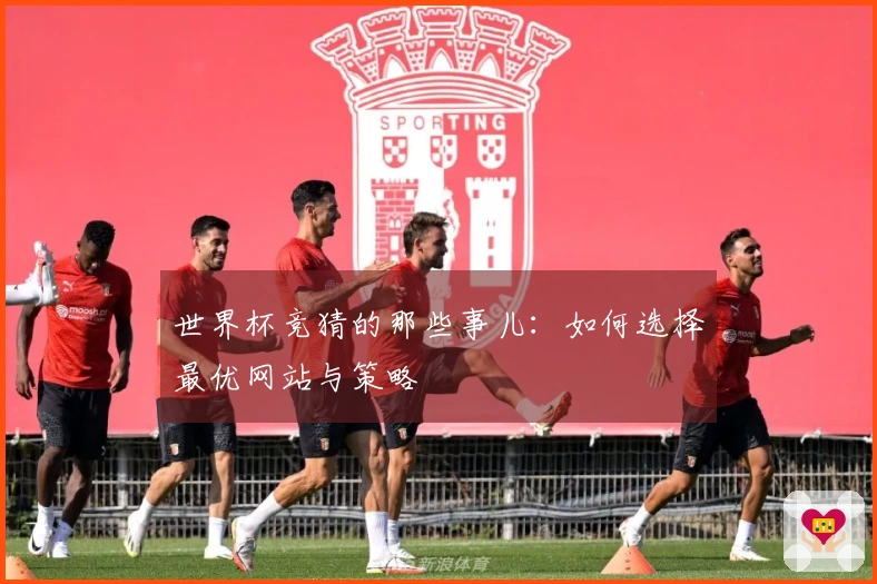世界杯竞猜的那些事儿：如何选择最优网站与策略