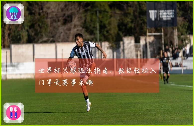 世界杯买球玩法指南，教你轻松入门享受赛事乐趣