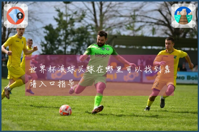 世界杯滚球买球在哪里可以找到靠谱入口指导